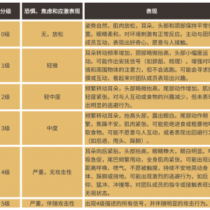 別讓你的馬“忍辱負(fù)重”！讀懂馬的疼痛、刻板行為與應(yīng)激