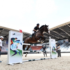 年青馬賽事，如何影響馬匹與騎手的未來(lái)？