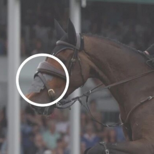 有效性尚存爭議，使用馬鼻貼是心理安慰嗎？