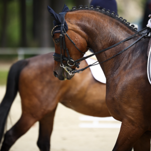 從必須到可選：大獎(jiǎng)賽水勒改革意味著什么？
